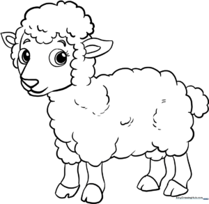 A friendly, simple line-art illustration of a baby lamb with fluffy wool, designed for children to color with crayons or markers.