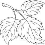 A clean, black-and-white line drawing of a single leaf with prominent veins, designed for children to color.