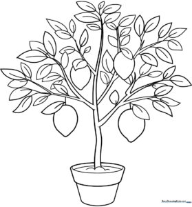 Black and white line art of a cartoon lemon tree with round fruit and simple leaves, designed for children to color.