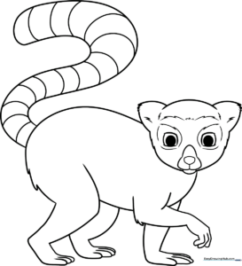 Cute cartoon lemur with large expressive eyes and a long striped tail, outlined for children to color.