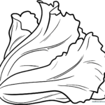 A clean, black-and-white line art illustration of a head of lettuce with layered, wavy leaves, designed for children to color.