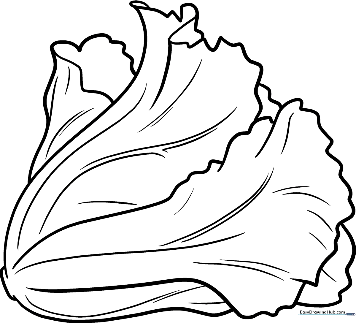 A clean, black-and-white line art illustration of a head of lettuce with layered, wavy leaves, designed for children to color.