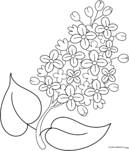 Black and white line art of a lilac flower cluster with detailed petals and leaves, optimized for children's coloring activities.