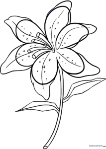 Black and white line art of a lily flower with wide, elegant petals and a sturdy stem, ready for children to color.