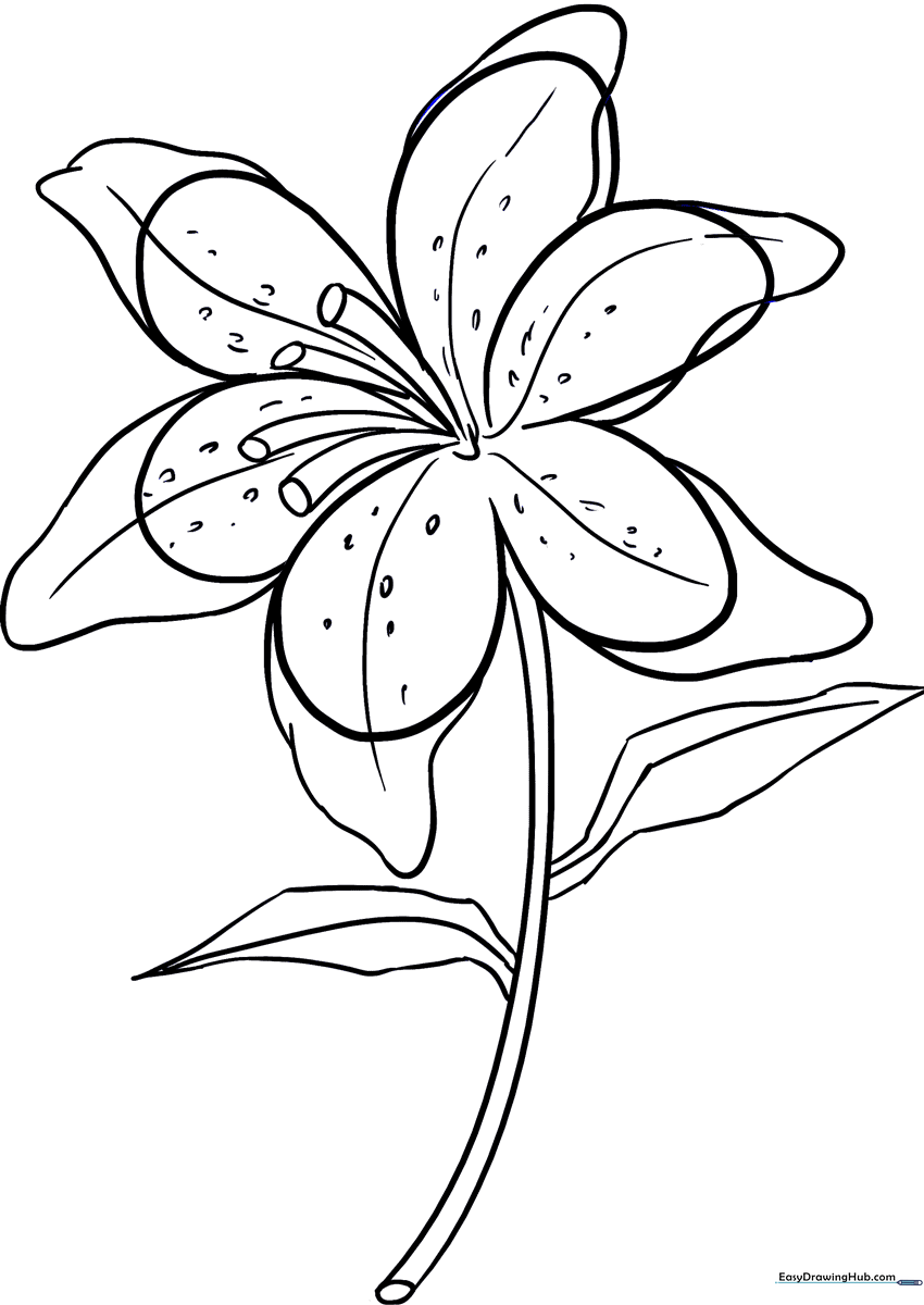 Black and white line art of a lily flower with wide, elegant petals and a sturdy stem, ready for children to color.
