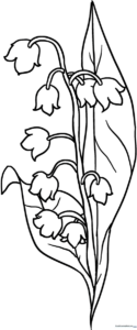 Black and white line art of Lily of the Valley flowers with drooping bell-shaped blossoms and broad leaves, ready for coloring.