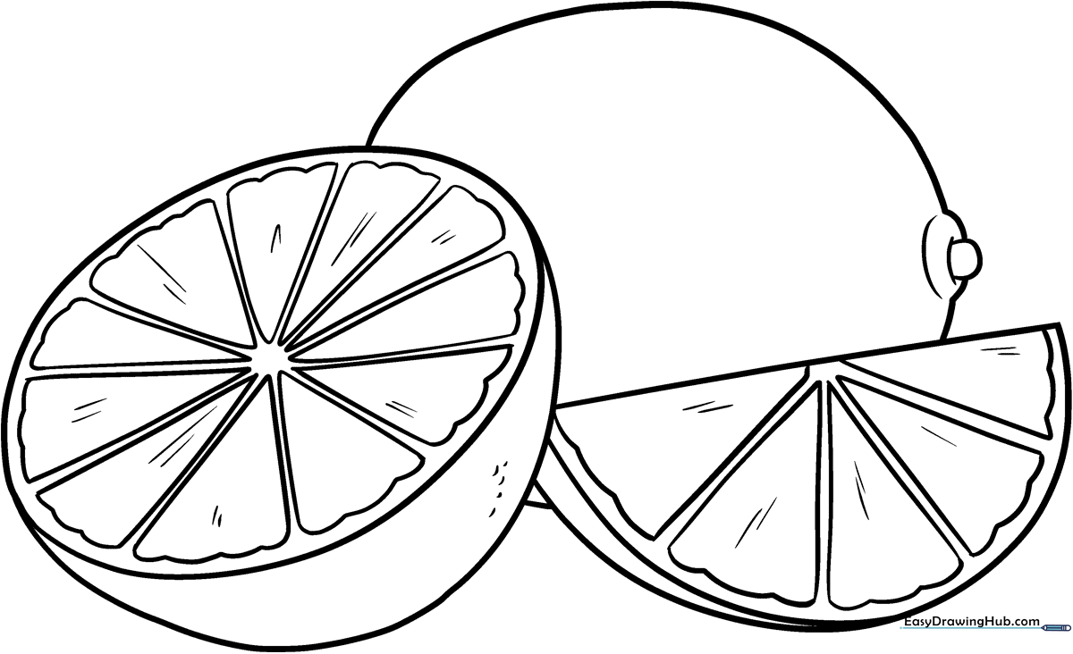 A clean, black-and-white line art illustration of a lime with a leaf, designed for children to color with markers or crayons.