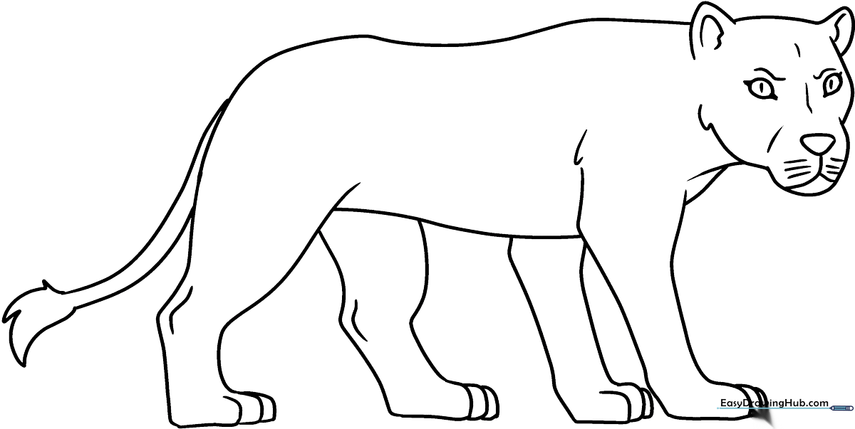A clean, black-and-white line art illustration of a friendly lioness, featuring bold outlines perfect for young children to color with crayons or markers.