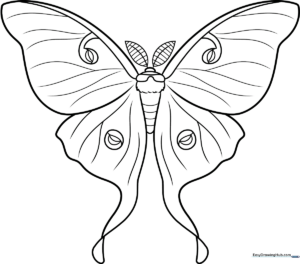 Black and white line art of a Luna Moth with large, elegant wings and detailed antennae, ready for coloring.