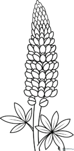Black and white line art of a tall lupine flower with distinct, pea-shaped blossoms stacked along a central stem, ready for coloring.
