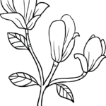 Black and white line art of a blooming magnolia flower with large, curved petals and detailed leaves, ready for coloring.