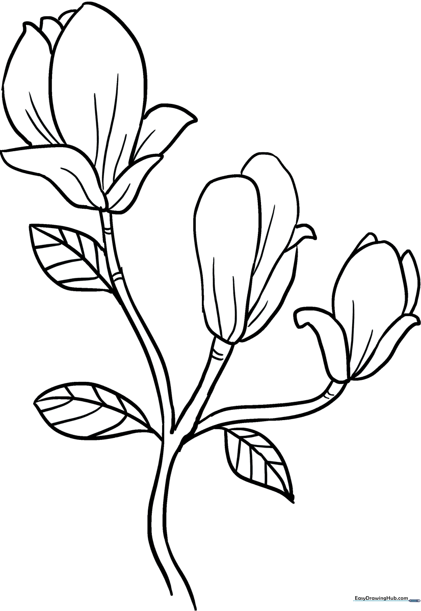 Black and white line art of a blooming magnolia flower with large, curved petals and detailed leaves, ready for coloring.