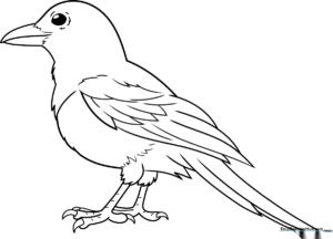 Black and white line art of a cheerful magpie perched on a branch, featuring bold outlines for easy coloring by young children.