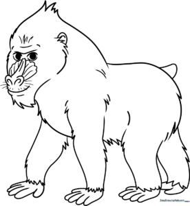 Black and white line art of a mandrill with distinct facial features and fur texture, ready for coloring.