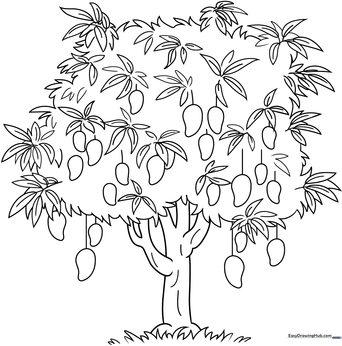 Line art of a cartoon mango tree with round fruit hanging from branches, designed for children to color.