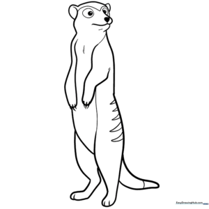 A friendly cartoon meerkat standing upright with alert eyes, designed as a clean-line coloring page for children to practice shading and color blending.