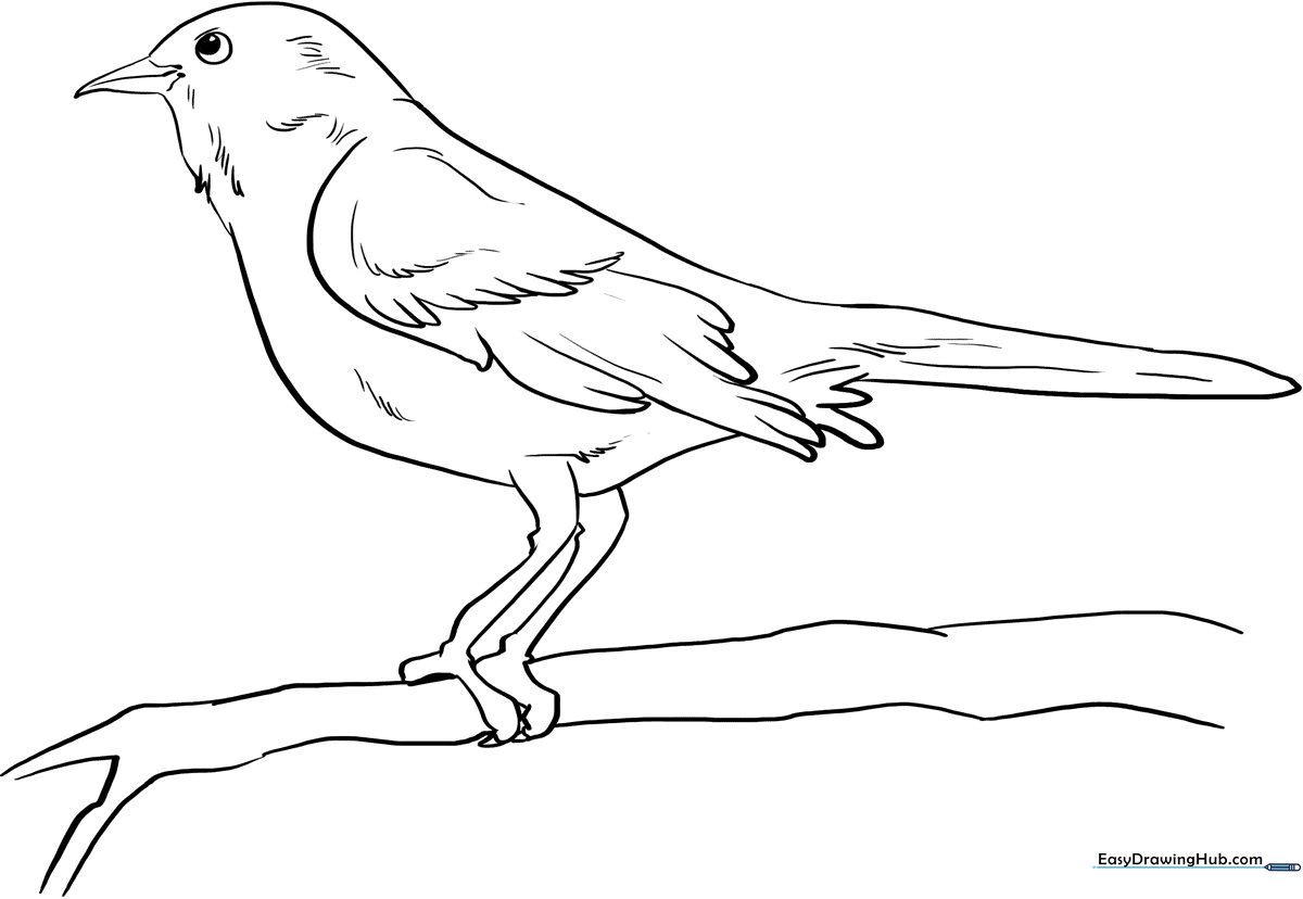 A clean, black-and-white line drawing of a mockingbird perched on a branch, featuring bold outlines perfect for young children to color.