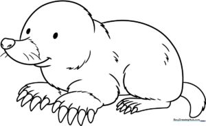 A friendly cartoon mole with large paws and a rounded nose, featuring thick, clean outlines suitable for young children to color.