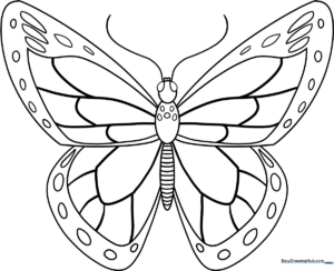 A clean, black-and-white line art illustration of a Monarch butterfly with open wings, featuring clear patterns for children to color.
