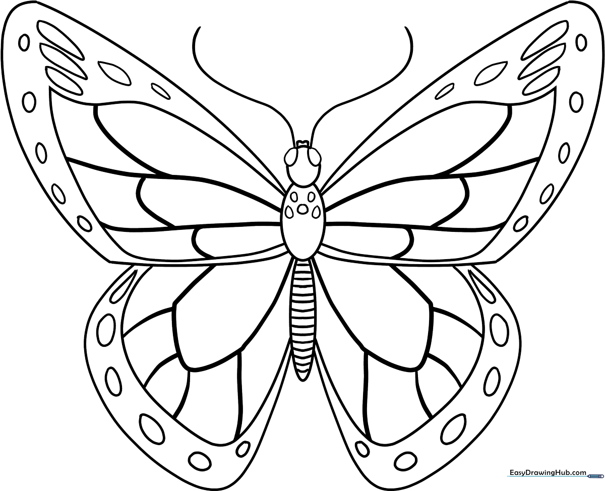 A clean, black-and-white line art illustration of a Monarch butterfly with open wings, featuring clear patterns for children to color.