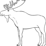 Black and white line art of a friendly moose standing, featuring clear outlines for easy coloring by children.