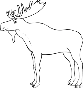 Black and white line art of a friendly moose standing, featuring clear outlines for easy coloring by children.