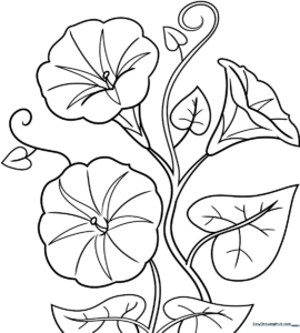 Black and white line art of a Morning Glory flower with large, trumpet-shaped petals and a slender stem, designed for children to color.