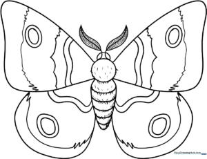 Black and white line art of a moth with large, detailed wings, designed for children to color.
