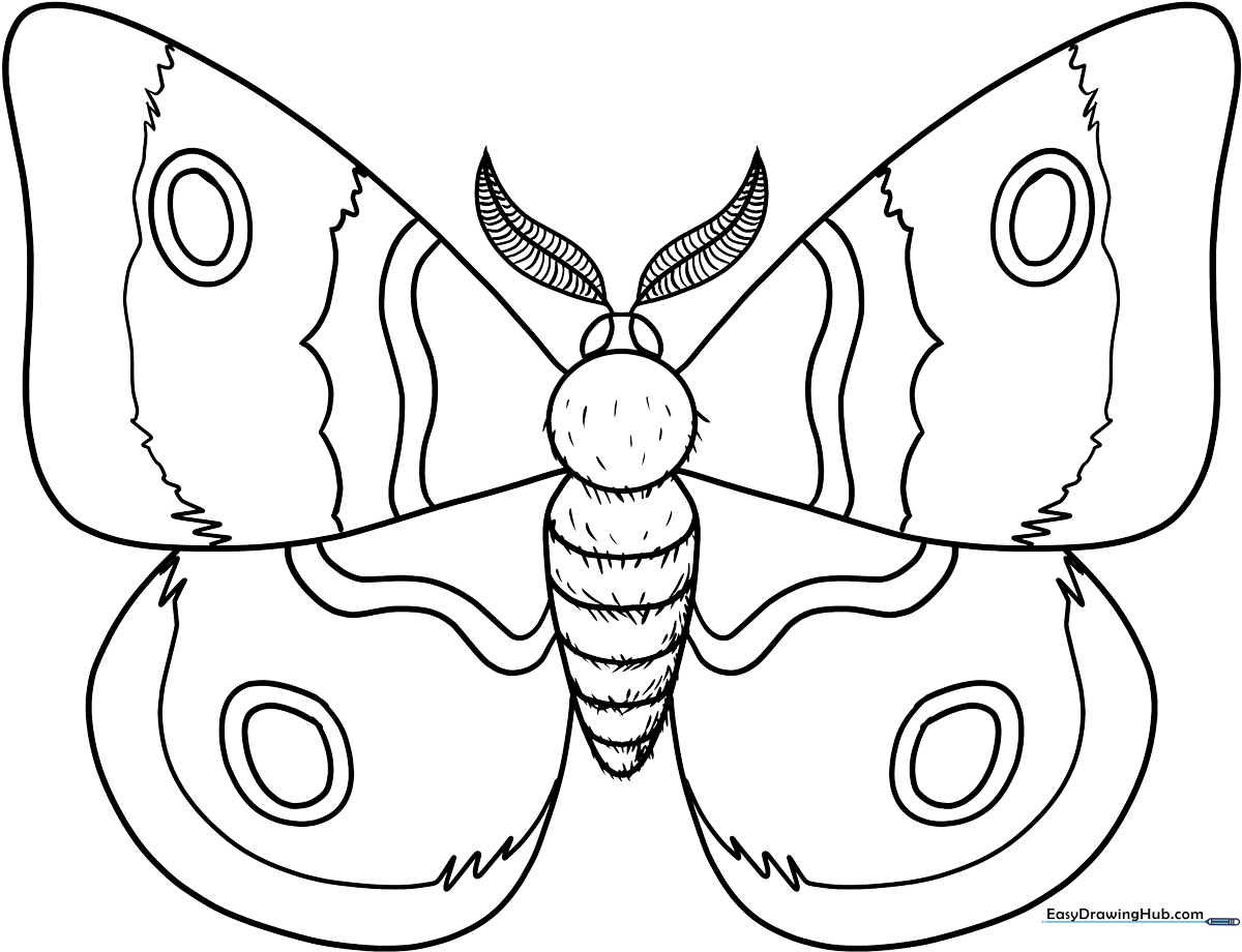 Black and white line art of a moth with large, detailed wings, designed for children to color.
