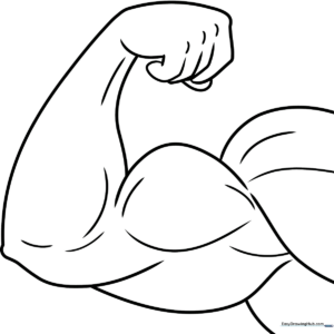 Black and white line art of a flexed muscular arm, featuring clear outlines of the bicep and forearm muscles for educational coloring practice.