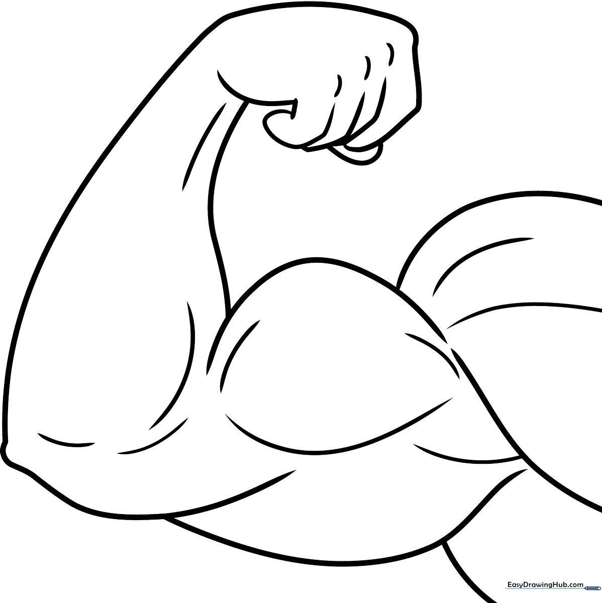 Black and white line art of a flexed muscular arm, featuring clear outlines of the bicep and forearm muscles for educational coloring practice.