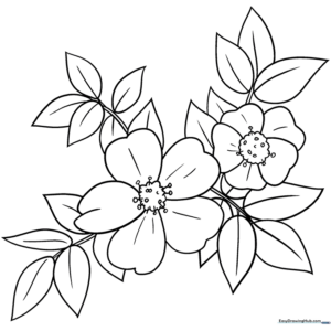 Detailed line art of a five-petaled wild rose with leaves, perfect for botanical coloring practice.
