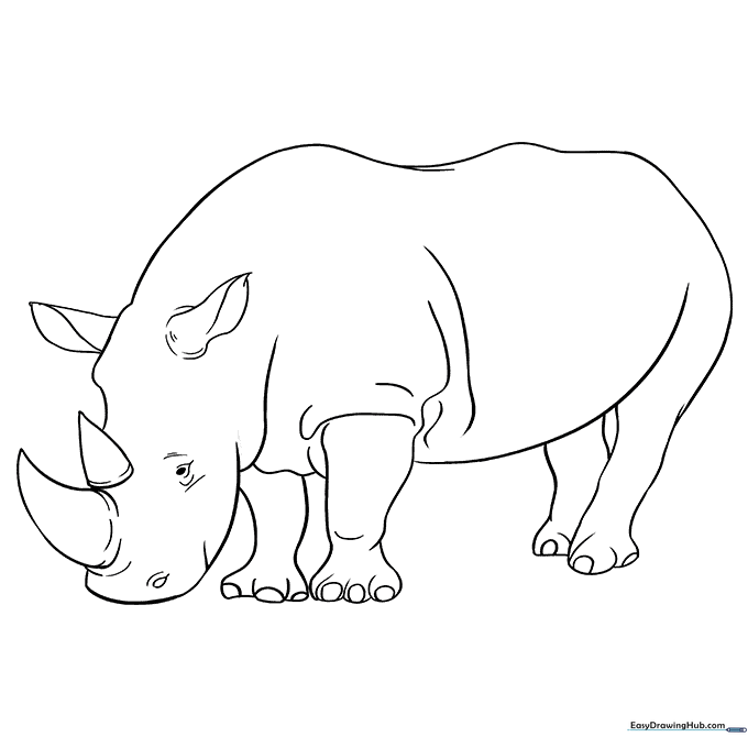 Rhino Coloring Sheet