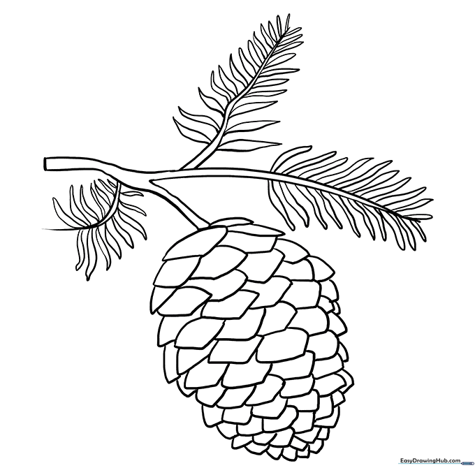 Pinecone