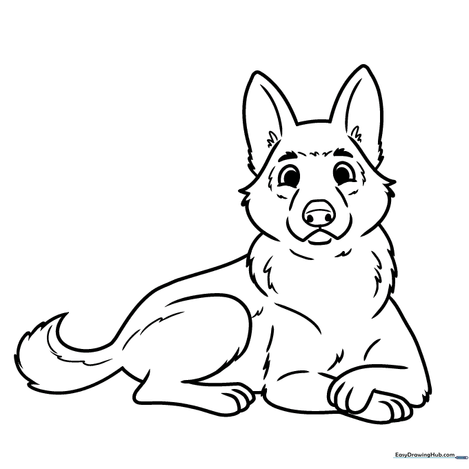 German Shepherd