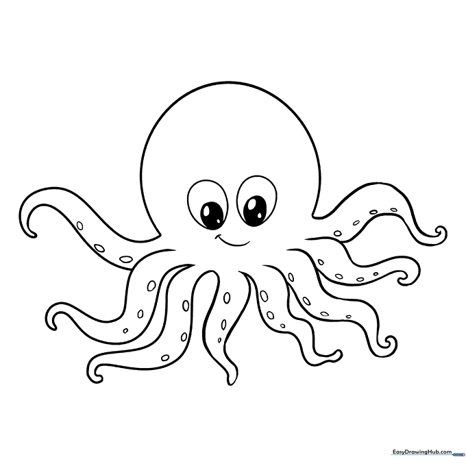 Octopus