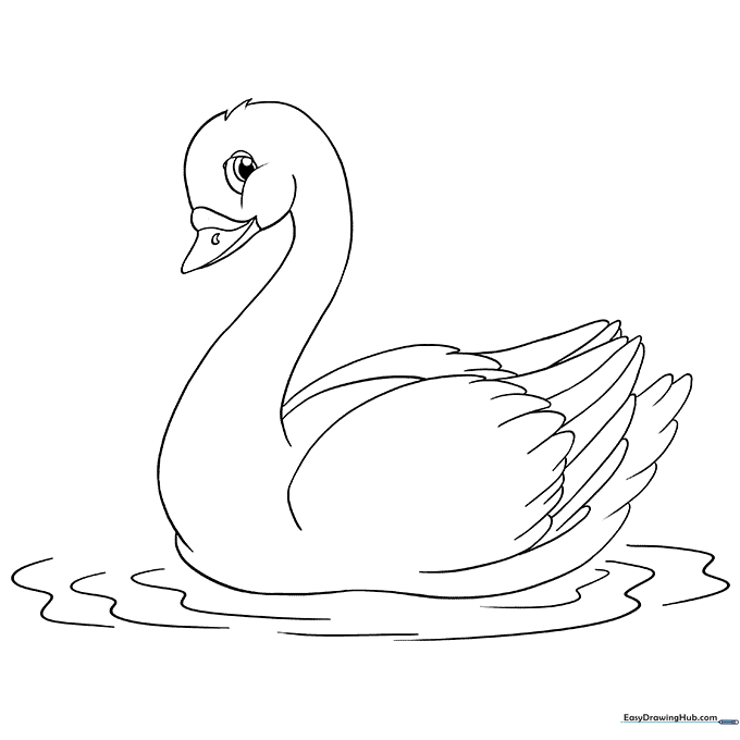Swan