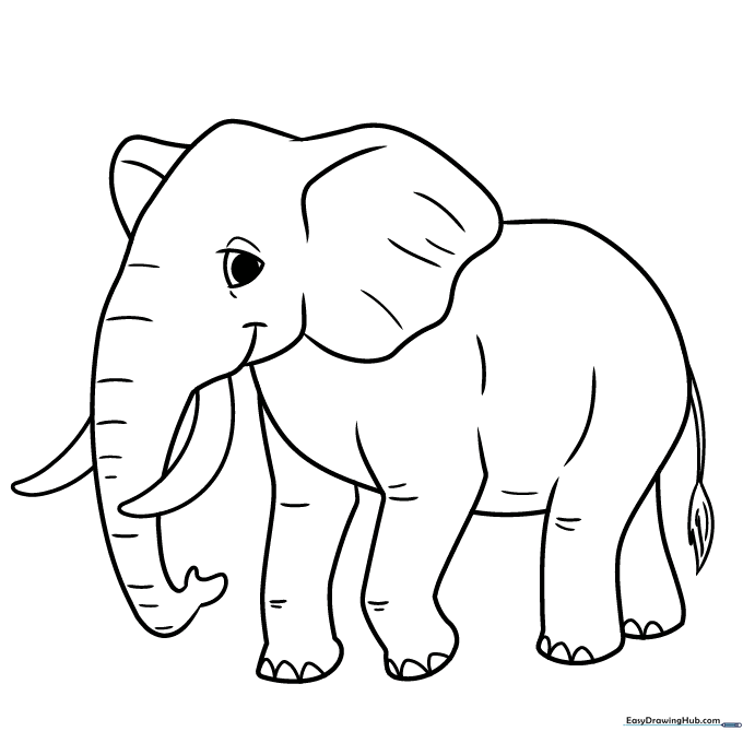 Elephant