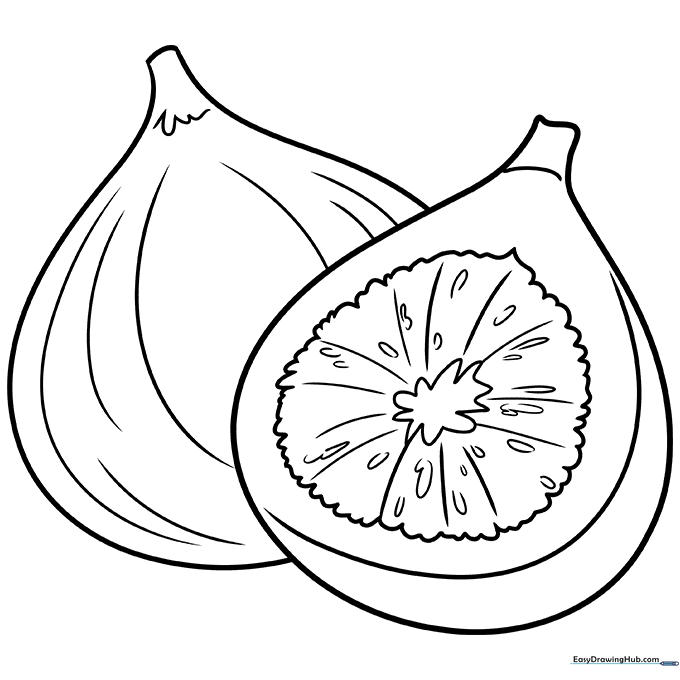Fig