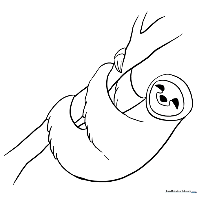 Sloth