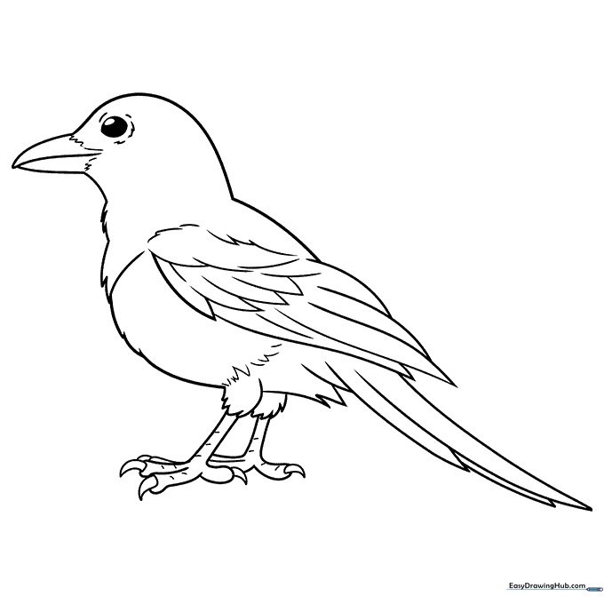 Magpie Coloring Page