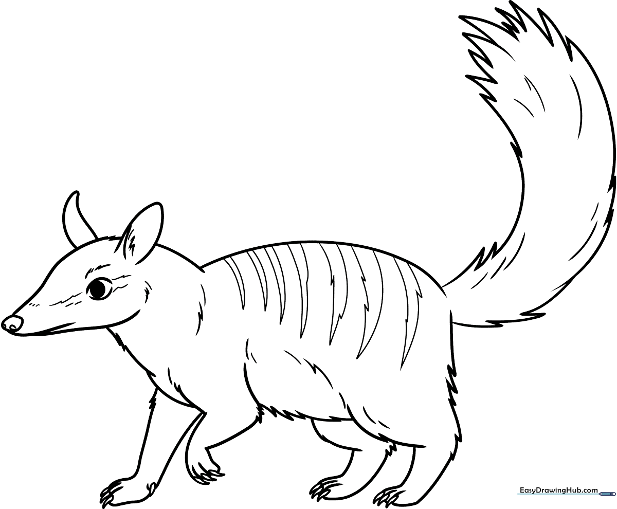 Black and white line art of a numbat with distinct stripes, designed for children to color with crayons or markers.