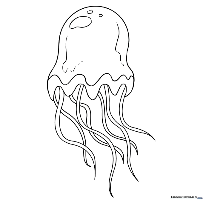 Jellyfish Coloring Sheet