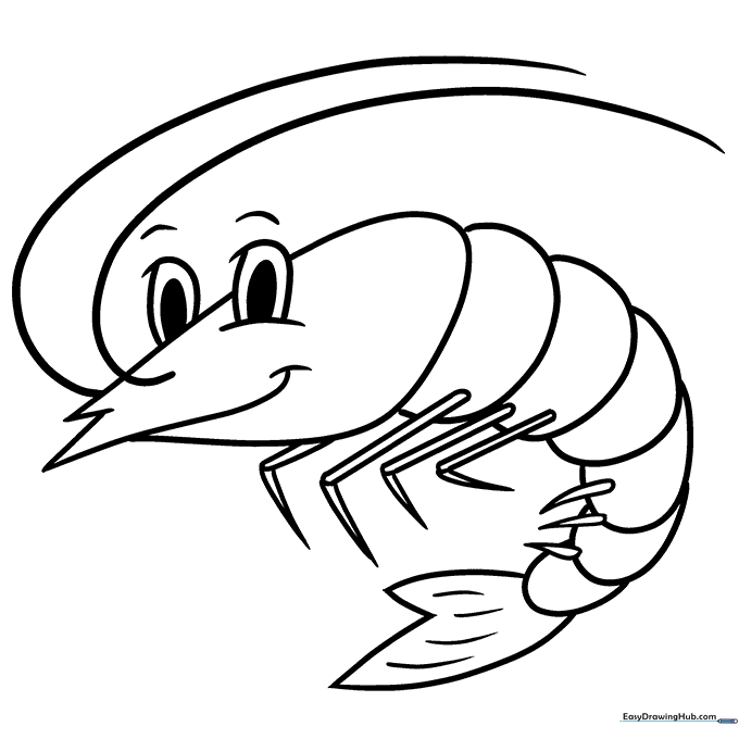 Shrimp Coloring Sheet