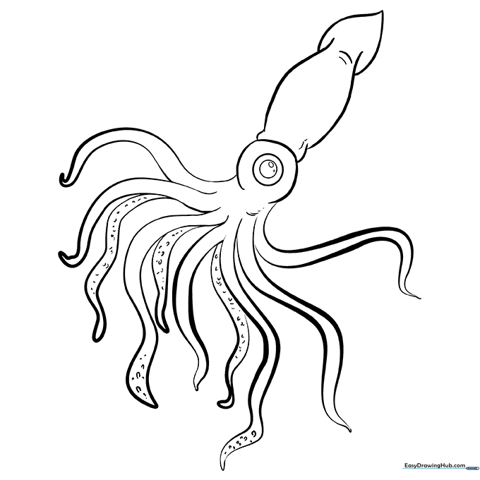 Squid Coloring Sheet