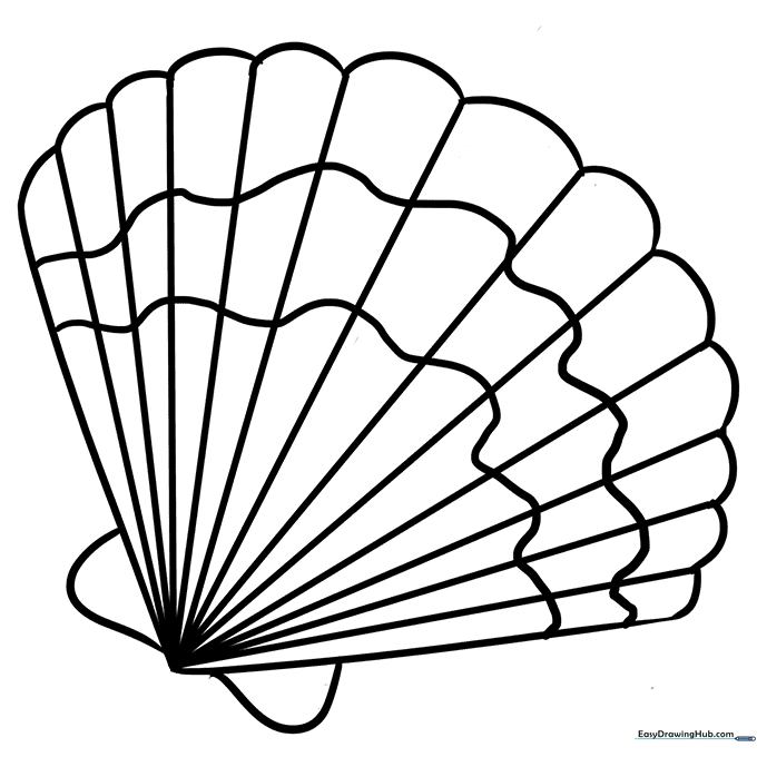 Seashell Coloring Sheet