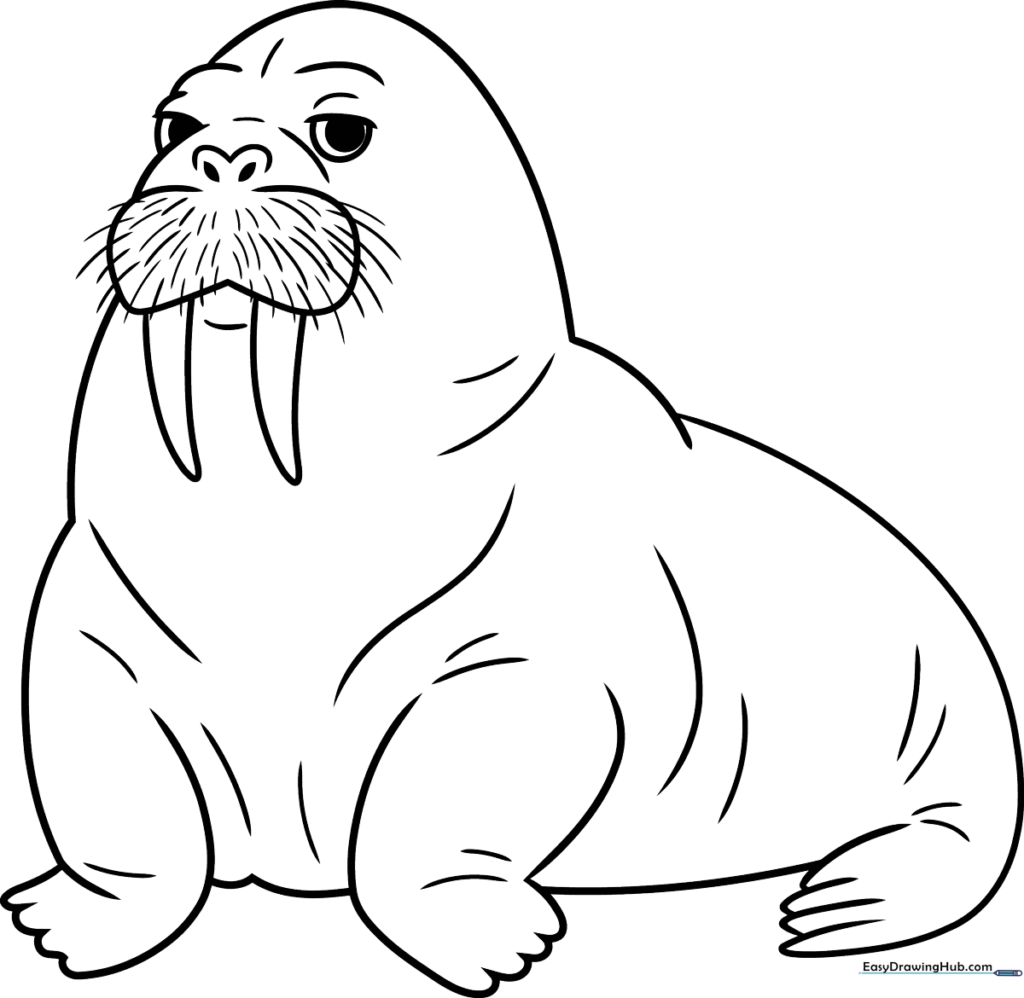 Walrus Coloring Sheet