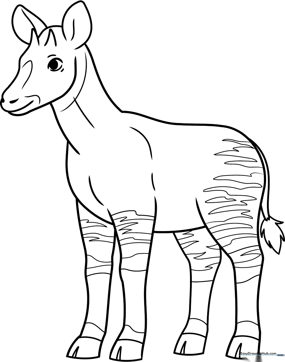 A clean, black-and-white line art illustration of an okapi standing sideways, featuring large ears and distinct leg stripes, ready for children to color.