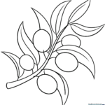 Black and white line art of an olive branch with oval leaves and small round olives, designed for children to color.