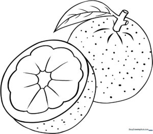 Black and white line art of a round orange with a small leaf, designed for children to color with crayons or markers.